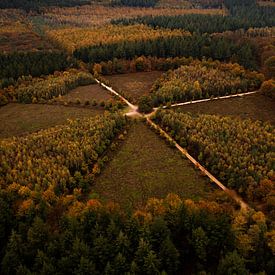 "De Eenzame Eik" vanuit de lucht, Nederland van Michiel de Bruin