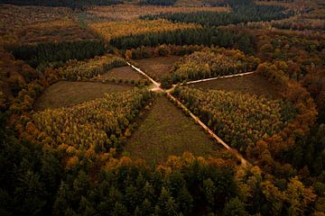 "De Eenzame Eik" vanuit de lucht, Nederland van Michiel de Bruin