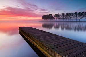 Jetée et rangée d'arbres au lac Dirkshorn lors d'un magnifique lever de soleil brumeux
