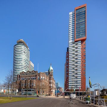 Holland America corpse at the head of south in Rotterdam by Joost Adriaanse