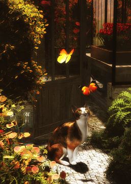 Chats – Un chat romantique aime les papillons sur Jan Keteleer
