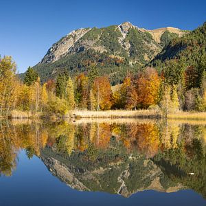 Étang de la tourbière, automne, près d'Oberstdorf, Allgäu sur Walter G. Allgöwer