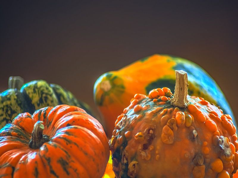 HERFSTCONCEPT: POMPOENEN IN OKTOBER van Photoart-Naegele