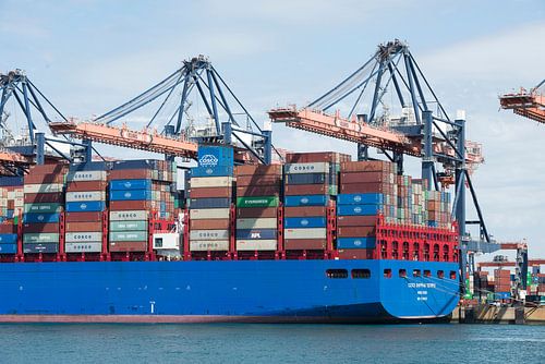 Containerschiff im Hafen von Rotterdam von Richard Rijsdijk