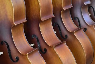 Cello muziek van Susan Dekker