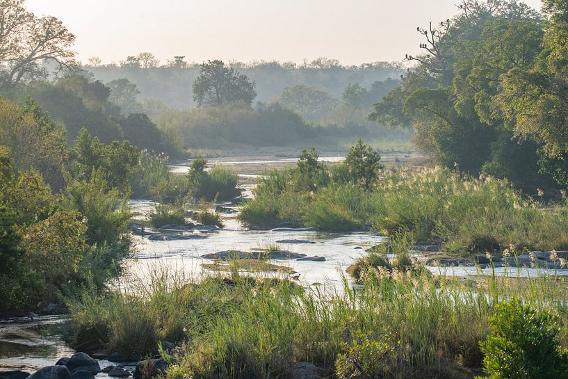 Landschap, Zuid-Afrika van Roelinda Tip