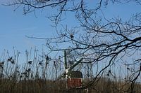 Molen