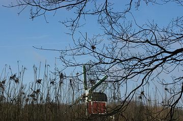 Molen von Brigitte Koster