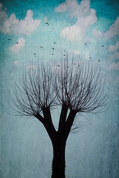 Boomsilhouet - vogels en schilderachtige lucht van Dirk Wüstenhagen