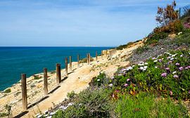 Freedom on the Atlantic  The Fishermen's Trail - golden cliffs, deep blue sea and endless expanses. by Miriam Schwarzfischer Fotografie