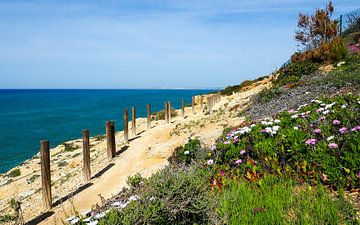 La liberté au bord de l'Atlantique  Le Fishermen's Trail - des falaises dorées, une mer d'un bleu profond et des étendues sans fin.