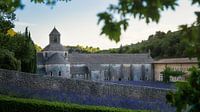 Abbey of Sénanque