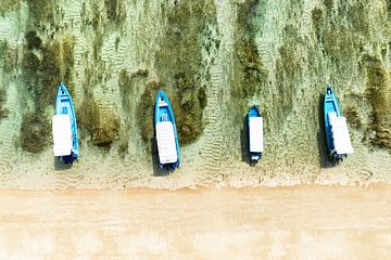 Aerial Summer - White and Blue