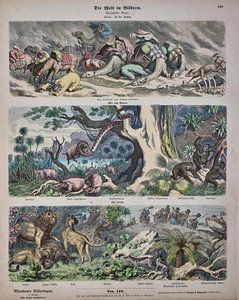 Die Welt in Bildern, Heinrich Leutemann, Wilhelm Busch, ca 1900