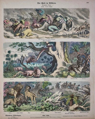 De wereld in beeld, Heinrich Leutemann, Wilhelm Busch, ca 1900