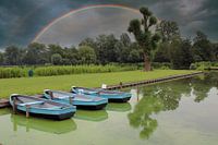 Rainbow in the sky