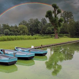 Rainbow in the sky van Charles Braam