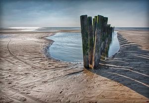 Strandlandschaft 
