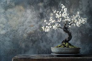 Bonsai-Baum auf einem grauen, robusten Tisch