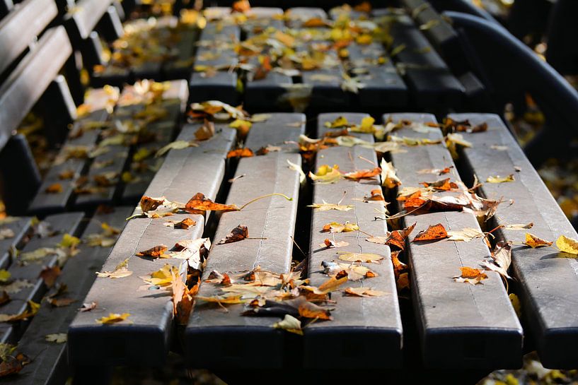 Autumn leaves on a bench by Heiko Kueverling