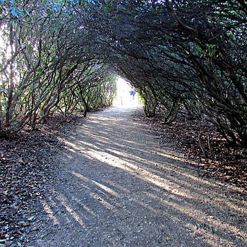 la lumière au bout du tunnel sur Anita van Gendt