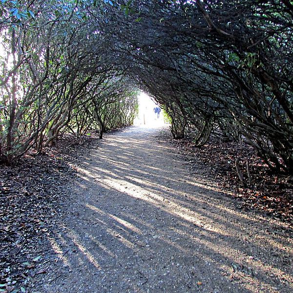 la lumière au bout du tunnel par Anita van Gendt