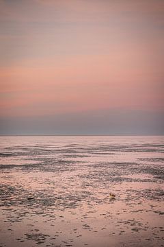 Sunrise at low tide Terschelling by Lydia