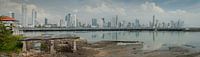 Panorama van Panama stad van Roel Beurskens thumbnail