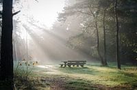 A place of reflection,