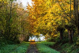 Natur pur! #nofilter von Fotografie Jeronimo