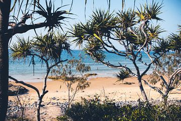 Lass uns an den Strand gehen von Duane Wemmers