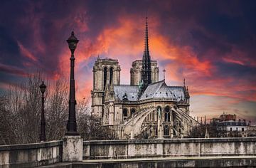 Notre-Dame van Parijs bij mooie zonsondergang van Chihong