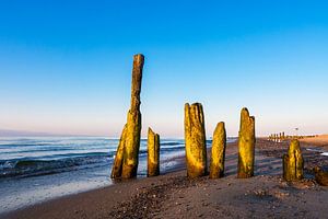Buhnen an der Küste der Ostsee bei Kühlungsborn