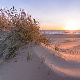 Sonne, Meer und Sand Dunes eine Top-Kombination von Alex Hiemstra