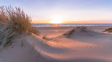 Soleil, mer et dunes : une combinaison parfaite sur Alex Hiemstra