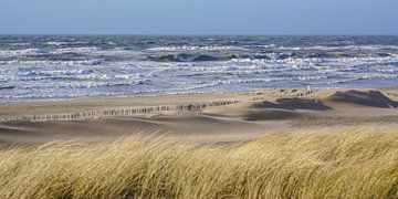Strand von Katwijk von Dirk van Egmond