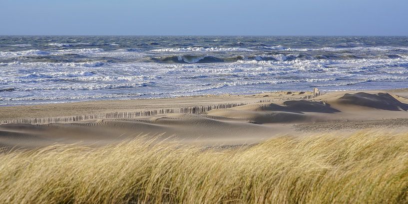 Strand von Katwijk von Dirk van Egmond
