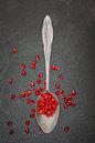 Zilveren lepel met granaatappelpitten van Photography art by Sacha thumbnail