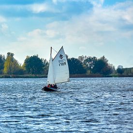 sailing on the Zoetermeer Lake by Ton Van Zeijl