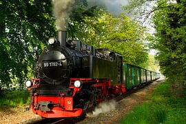 Rasender Roland auf Rügen von Matthias Stolt