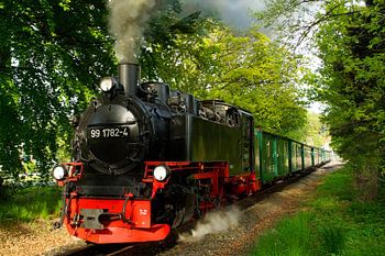 Rasender Roland auf Rügen