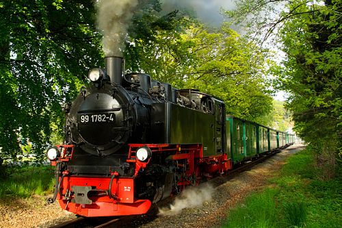 Racing Roland on Rügen