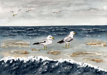 Les mouettes au bord de la mer sur Sandra Steinke