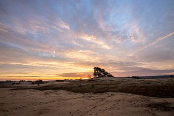 Sunrise Kootwijkerzand by Peter Haastrecht, van