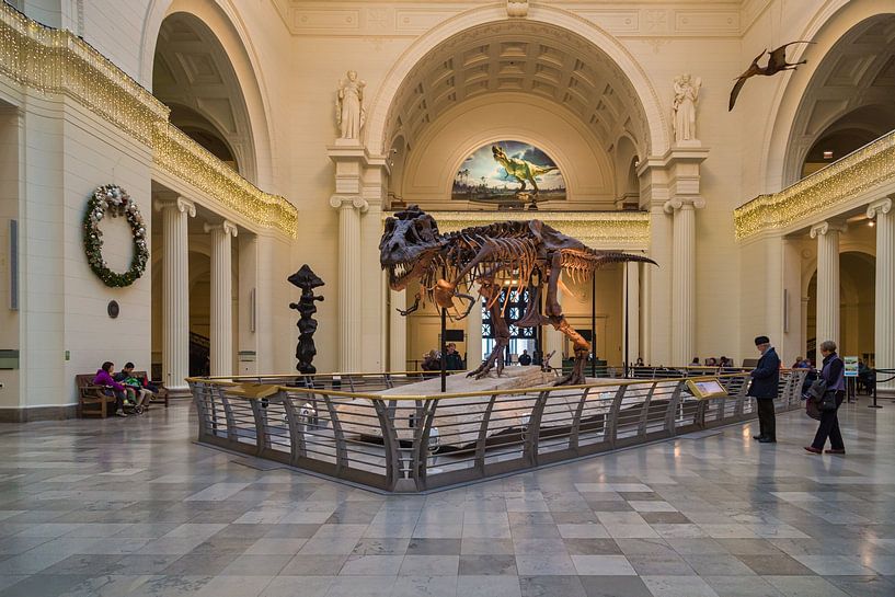 "Sue" de dinosaurus in de hoofdzaal van het Field Museum of Natural History in Chi van Mohamed Abdelrazek