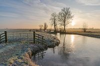 Sunrise in wintery polder landscape