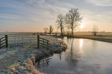 Winter in de Alblasserwaard:  zonsopkomst in bevroren polderlandschap van Beeldbank Alblasserwaard