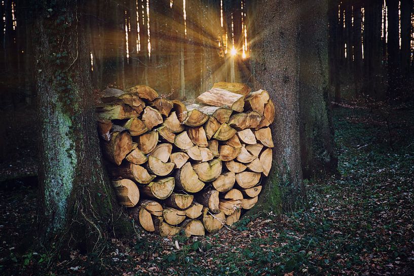 Holzherz im Wald von SusaZoom