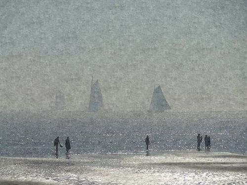 Promenade sur la plage de Terschelling