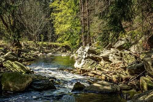 In the Black Water Valley in the Ore Mountains